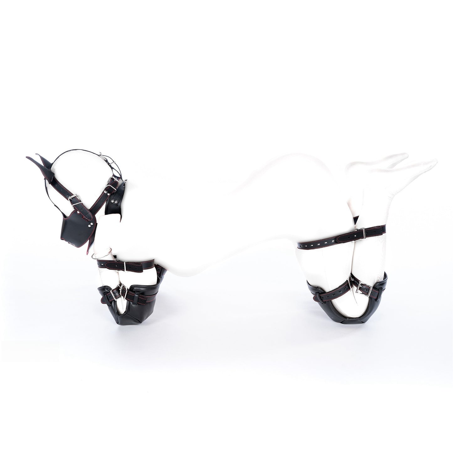 Couple Lifestyle Accessories Set