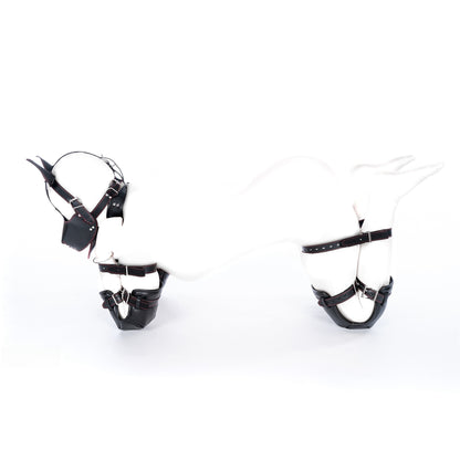 Couple Lifestyle Accessories Set