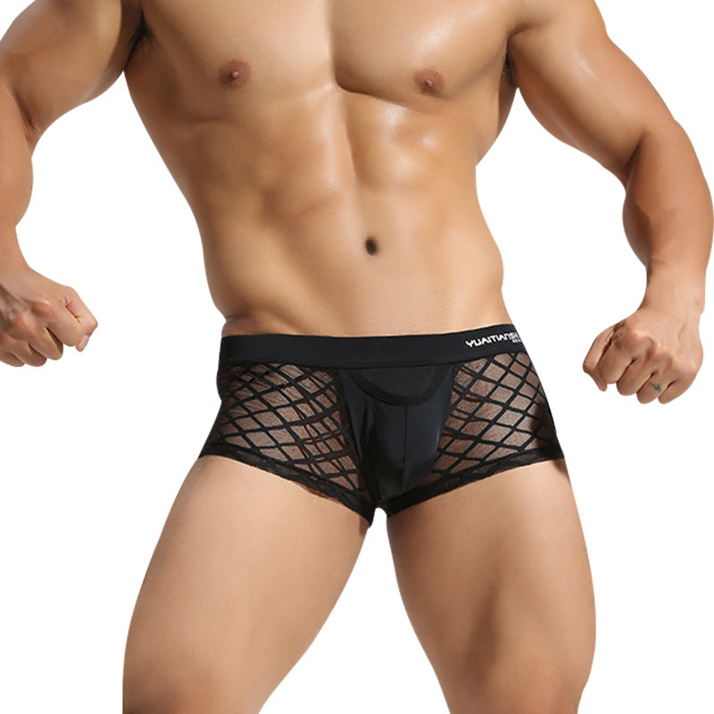 Men's Underwear Breathable Nylon Mesh Underwear Youth Boxer Briefs, Elegant , couple experience
